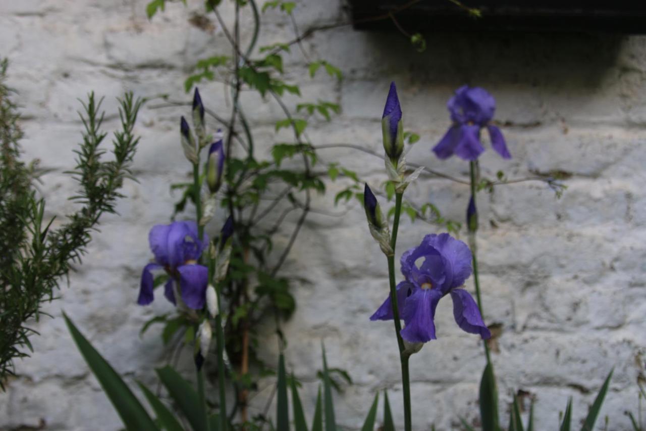 Les Iris Acomodação com café da manhã 
